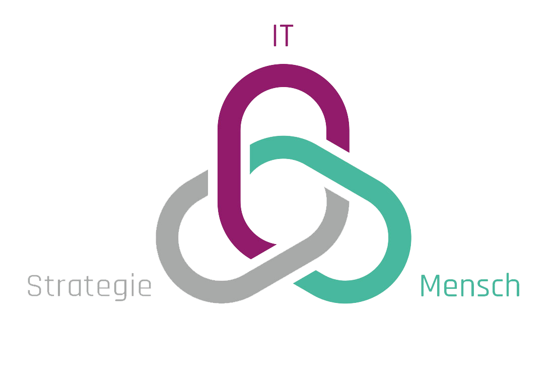 Die Digitalbegleiter Logo Mensch IT und Strategie im Dreiklang der Digitalisierung von mittelständischen Unternehmen